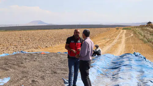 Konya’da Türkiye’nin en sevdiği kuruyemiş üretimine denetim!