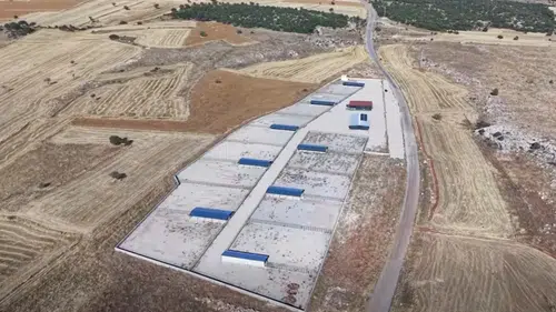 Konya'ya yeni hayvan barınağı! 3 ilçeye birden hizmet verecek