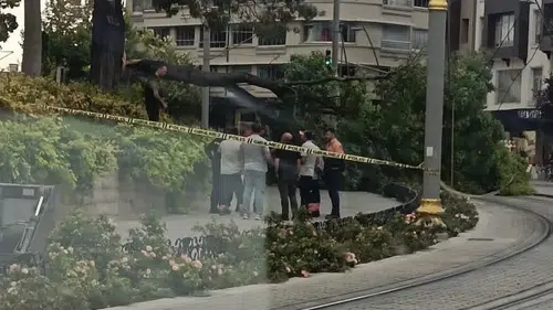 Konya’da tramvay yoluna ağaç devrildi! Ulaşım duyurusu yapışdo