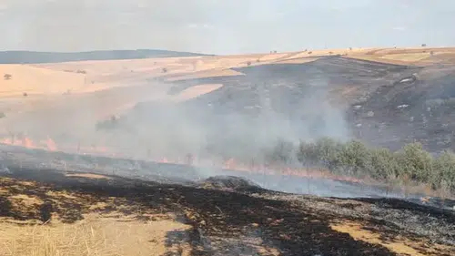 Konya’da yangın çıktı! Rüzgarın etkisi ile ormana sıçradı