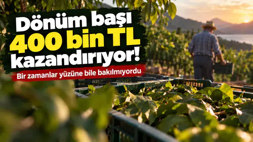 Dönüm başı 400 bin TL kazandırıyor! Bir zamanlar yüzüne bakılmıyordu