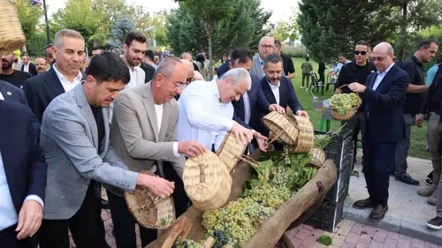 Konya’da Meram’ın meşhur bağında üzümler toplandı! Pekmezler kaynadı