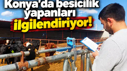 Konya’da besicilik yapanları ilgilendiriyor!
