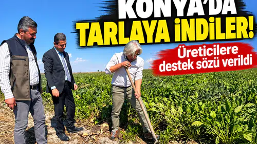 Konya’da tarlaya indiler! Üreticilere destek sözü verildi