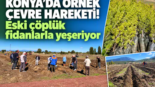 Konya’da örnek çevre hareketi! Eski çöplük fidanlarla yeşeriyor