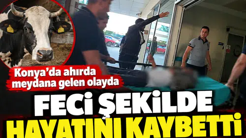 Konya’da ahırda meydana gelen olayda feci şekilde hayatını kaybetti