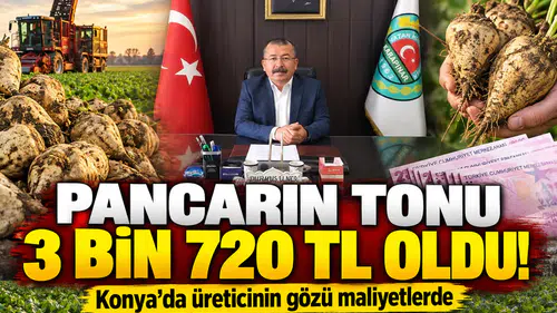 Pancarın tonu 3 bin 720 TL oldu! Konya’da üreticinin gözü maliyetlerde