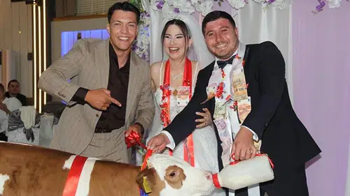 Düğünde gelin ve damada takı yerine buzağı hediye edildi