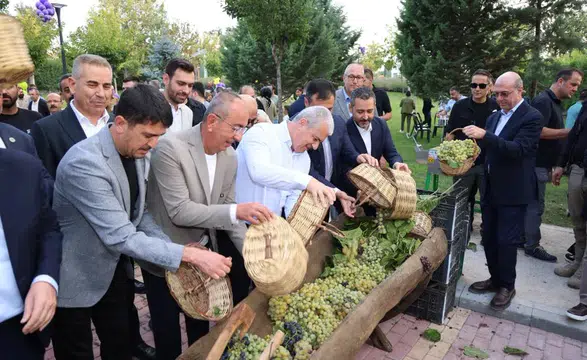 Konya’da Meram’ın meşhur bağında üzümler toplandı! Pekmezler kaynadı