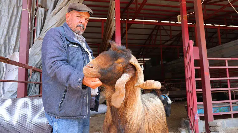 Kurbanlık fiyatlarında esnaftan indirim kararı