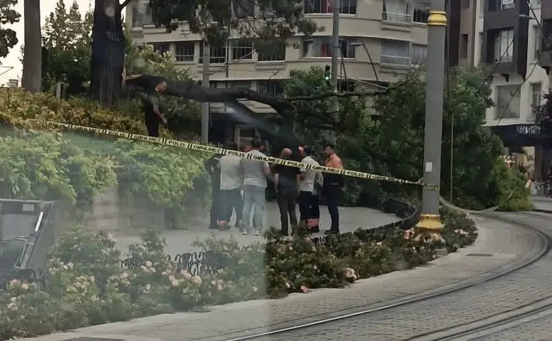 Konya’da tramvay yoluna ağaç devrildi! Ulaşım duyurusu yapışdo