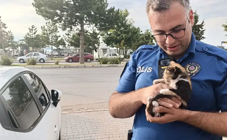 Konya'da polis bu kez bir yavru kedi için seferber oldu