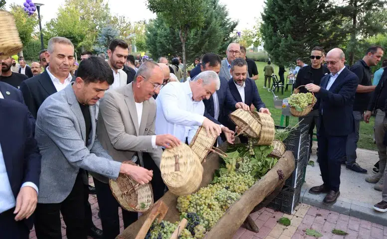 Konya’da Meram’ın meşhur bağında üzümler toplandı! Pekmezler kaynadı