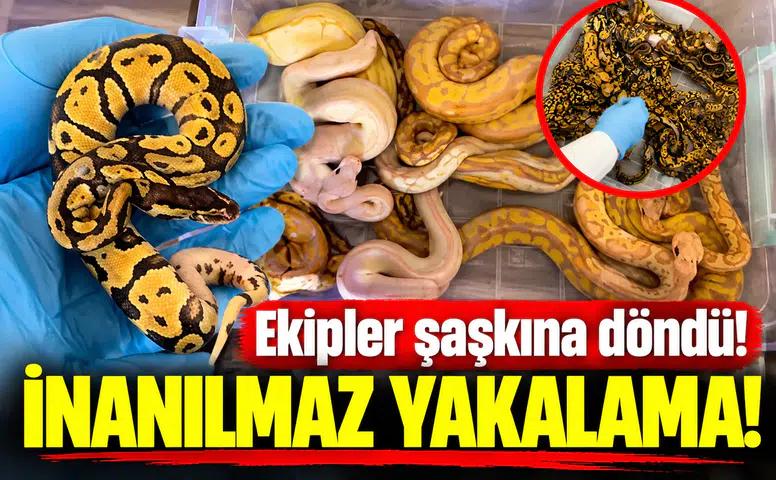 Ekipler şaşkına döndü! İnanılmaz yakalama