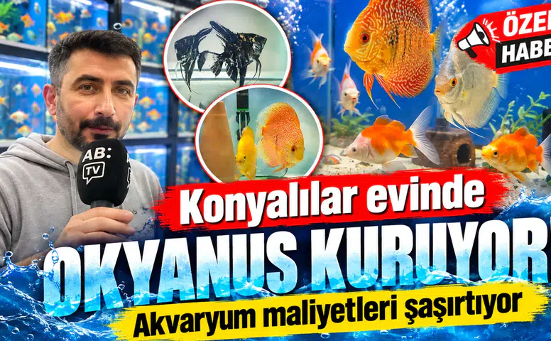 Konyalılar evinde okyanus kuruyor! Akvaryum maliyetleri şaşırtıyor