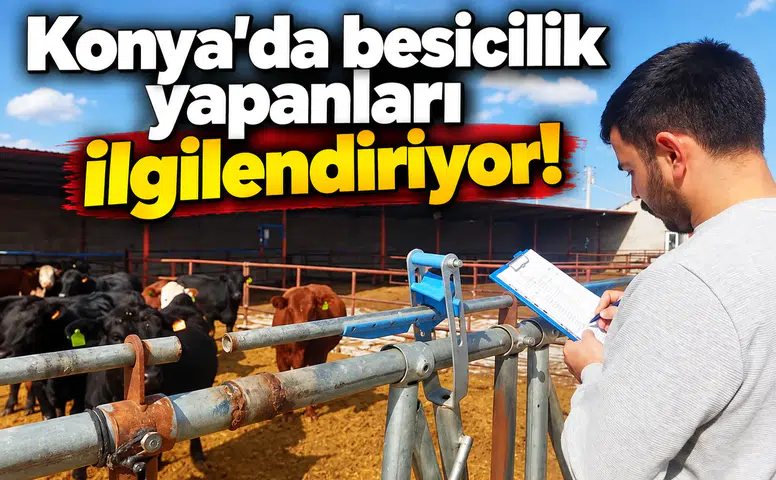 Konya’da besicilik yapanları ilgilendiriyor!