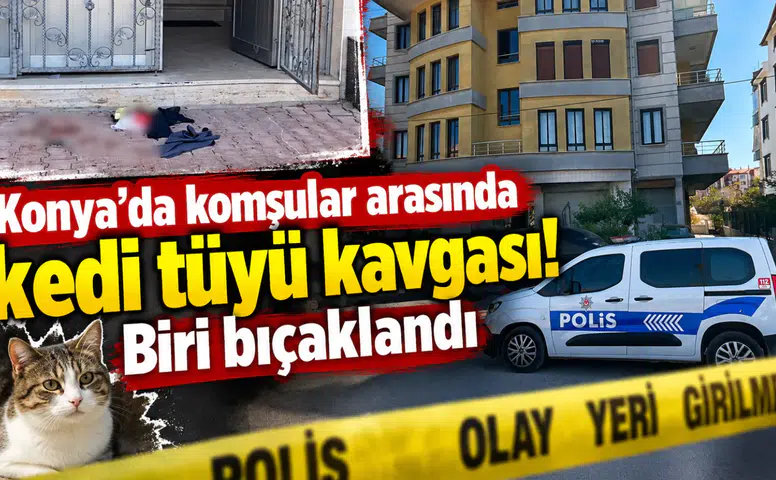 Konya’da komşular arasında kedi tüyü kavgası! Biri bıçaklandı