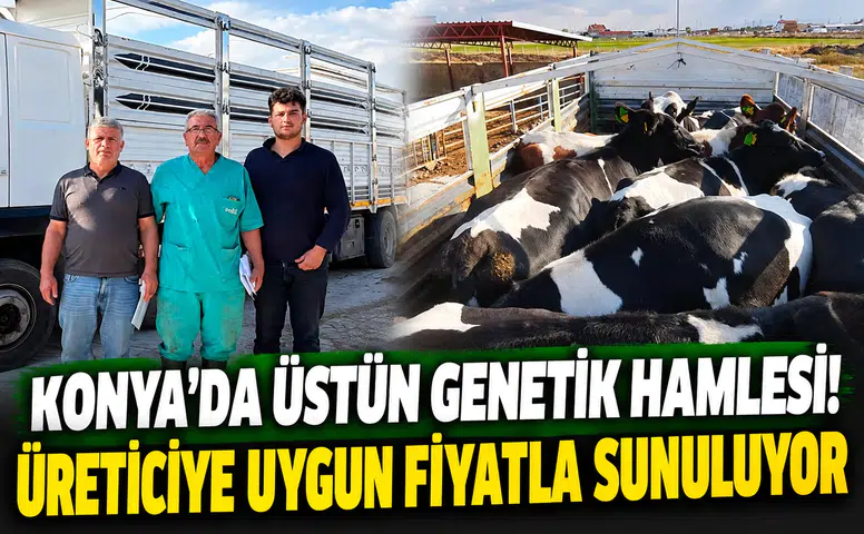Konya’da üstün genetik hamlesi!     Üreticiye uygun fiyatla sunuluyor