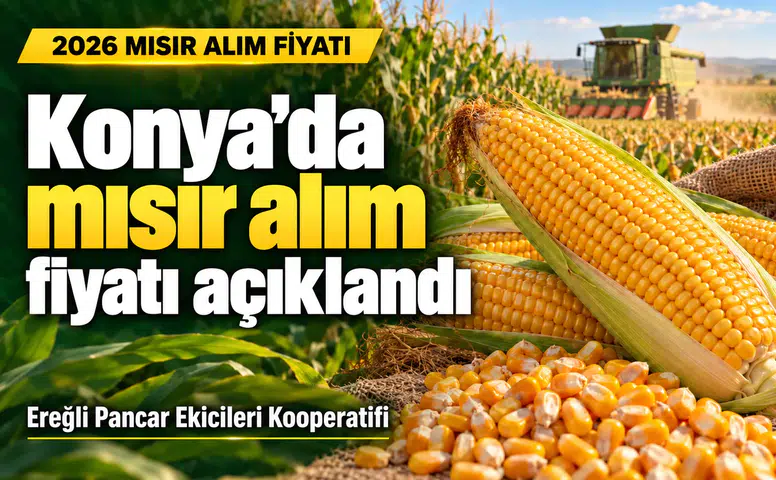 Konya’da mısır alım fiyatı açıklandı