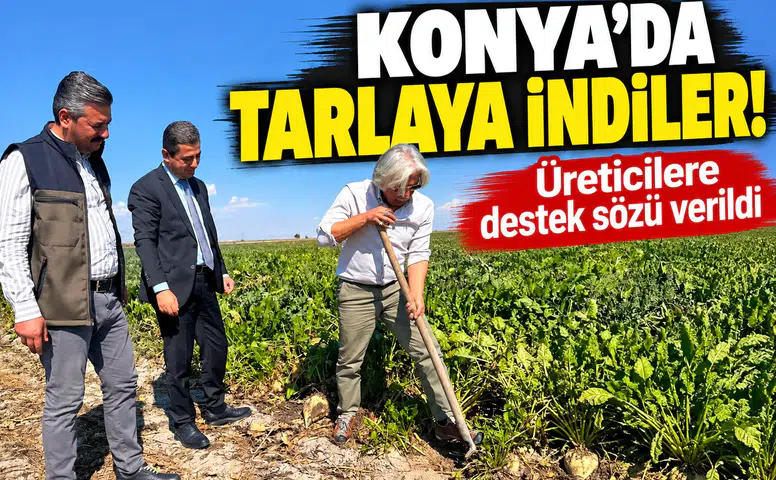 Konya’da tarlaya indiler! Üreticilere destek sözü verildi