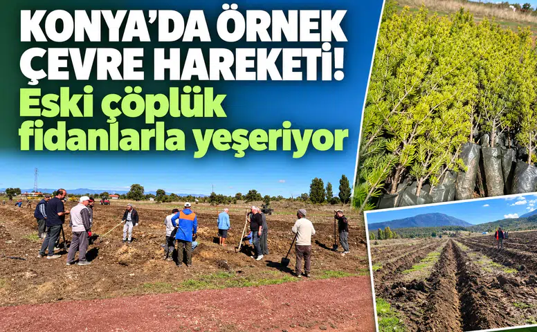 Konya’da örnek çevre hareketi! Eski çöplük fidanlarla yeşeriyor