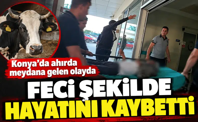 Konya’da ahırda meydana gelen olayda feci şekilde hayatını kaybetti
