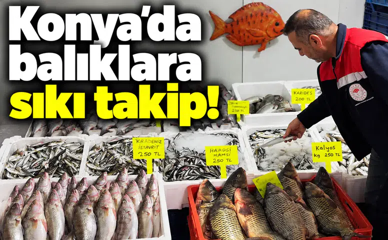 Konya’da balıklara sıkı takip!