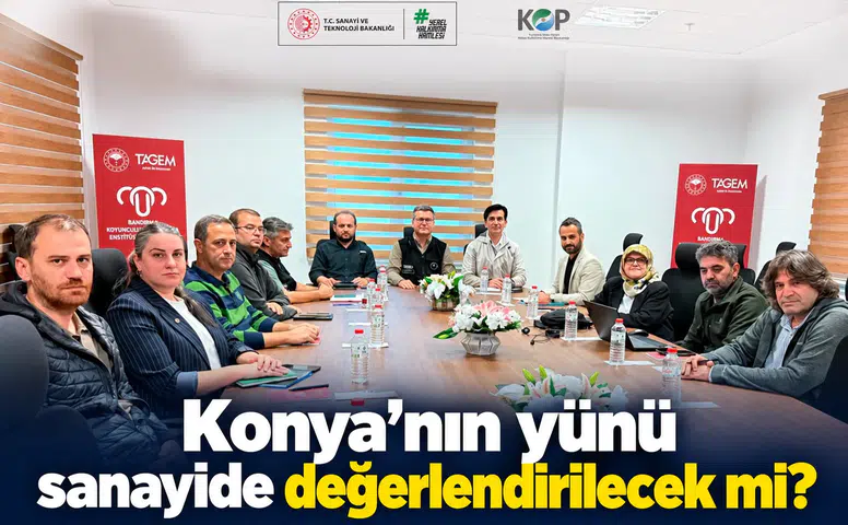 Konya’nın yünü sanayide değerlendirilecek mi?