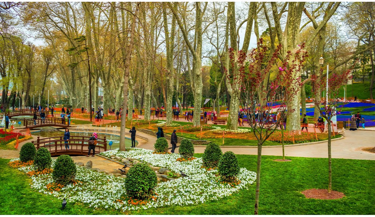 25-ben-bir-ceviz-agaciyim-gglhane-parkinda-69946.jpg