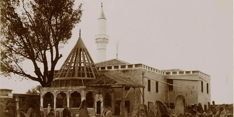 sadreddin.webp