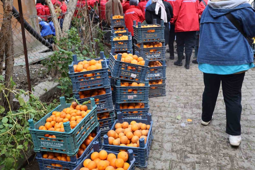 Hatay'ın yaraları gönüllülerle sarılıyor! El ele verdiler...