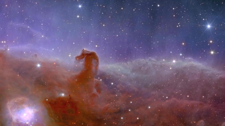 horsehead-nebulajpg-ge9-mertsahin-demircioglu-h-c6sm4a.jpg