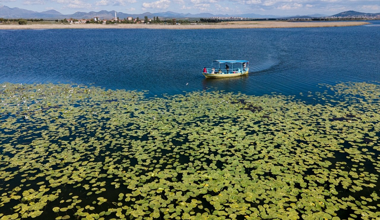 aa-20240510-34519762-34519743-beysehir-golunun-nilufer-bahcesi-1.jpg
