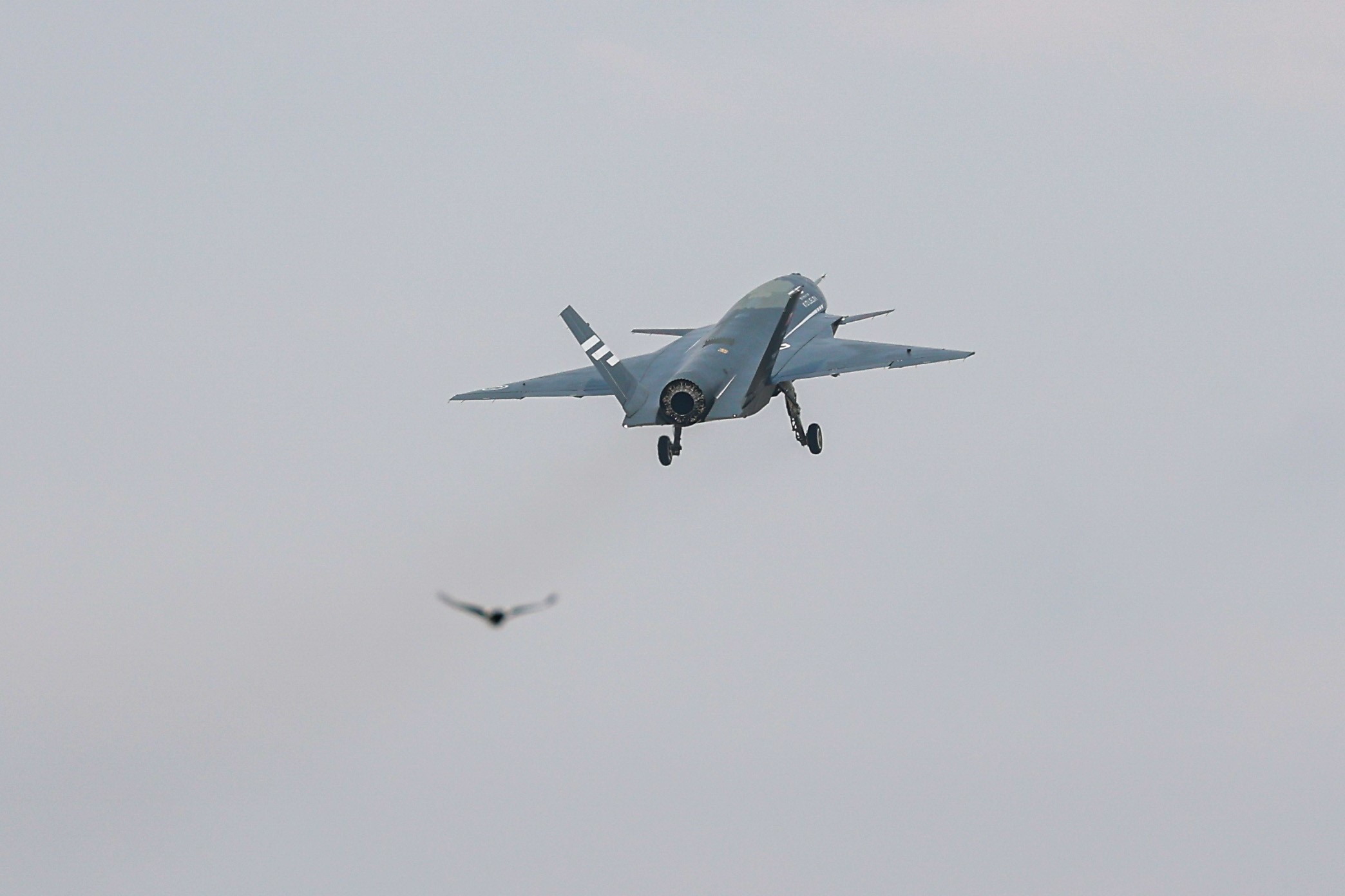 aw402011-12.jpg