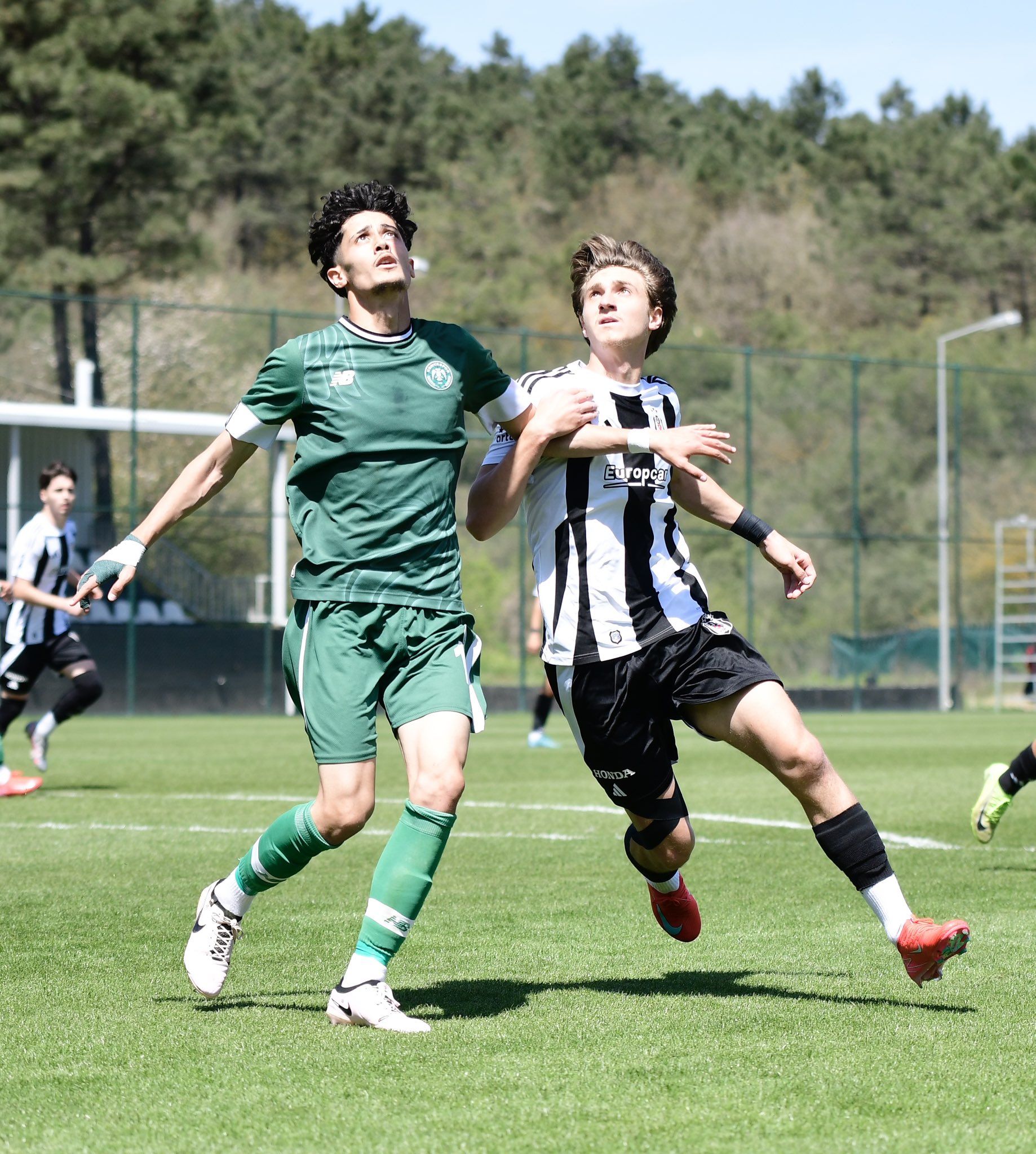 u199.jpg