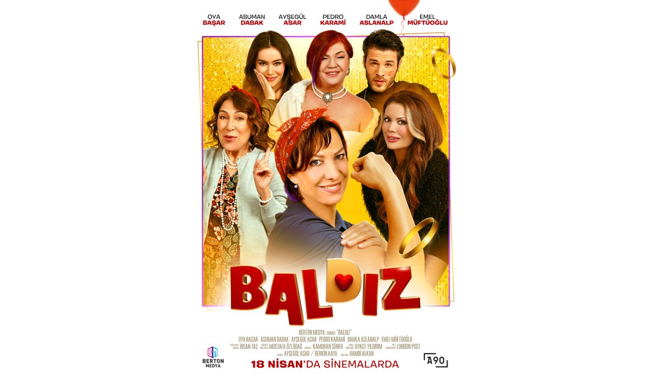 1744887551-bald-z-afi-revize.jpeg
