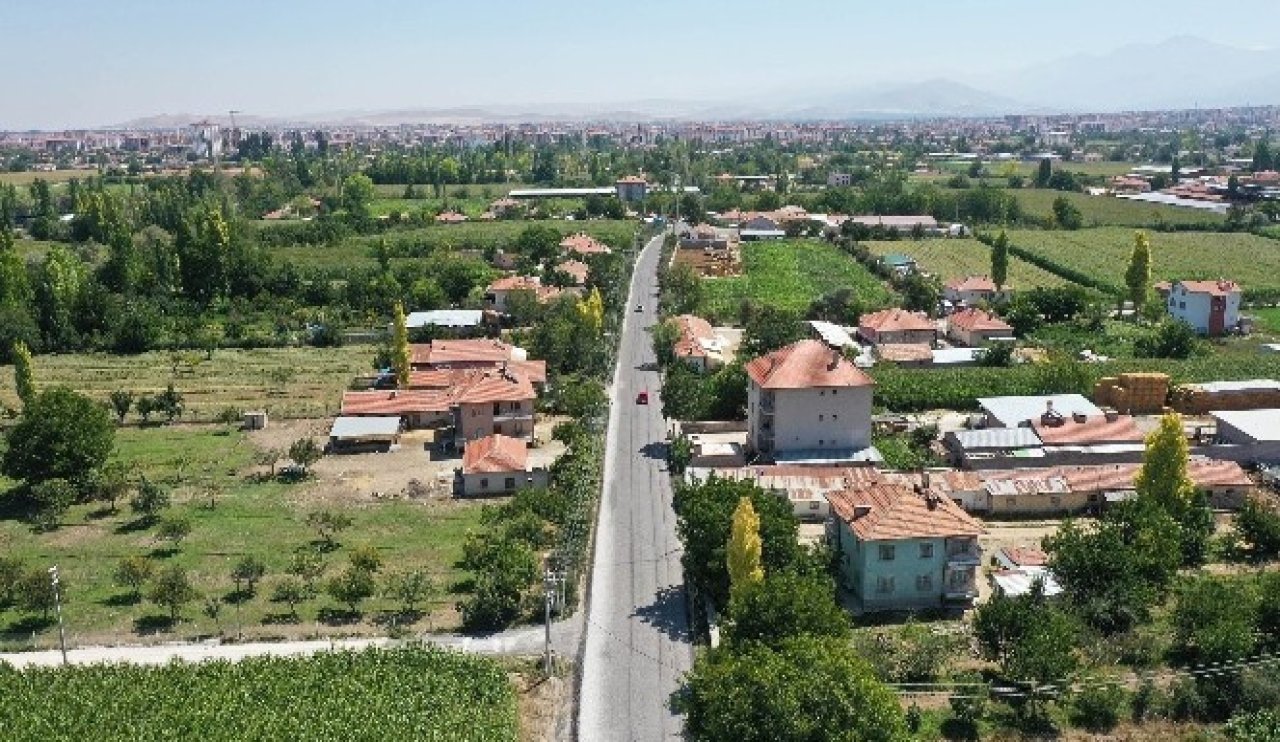 4065420.jpg