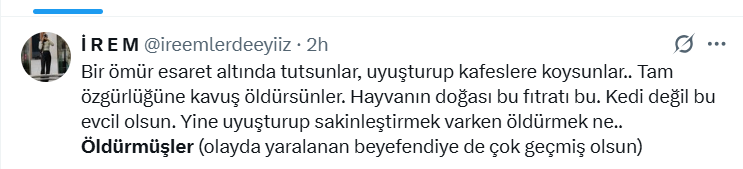 ekran-goruntusu-175.png