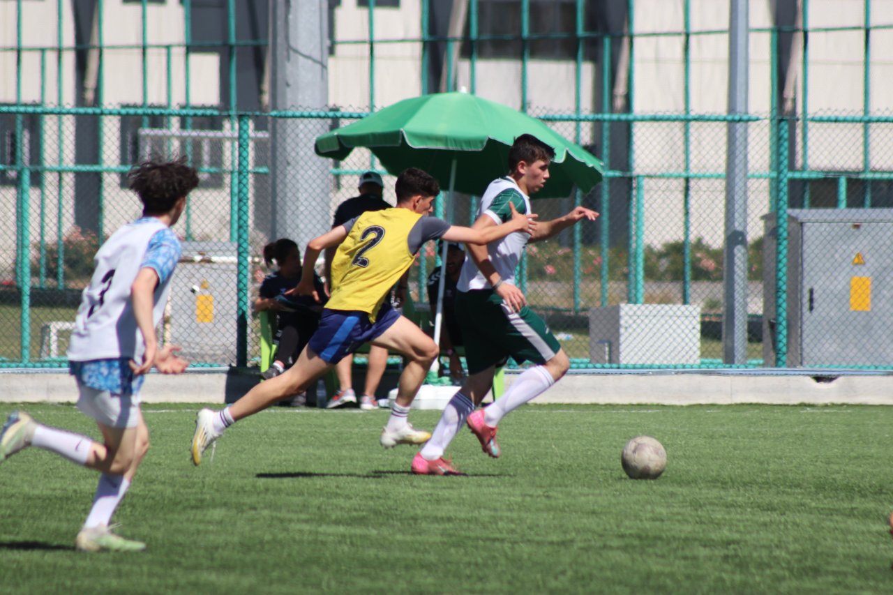 20250712-011104.jpg