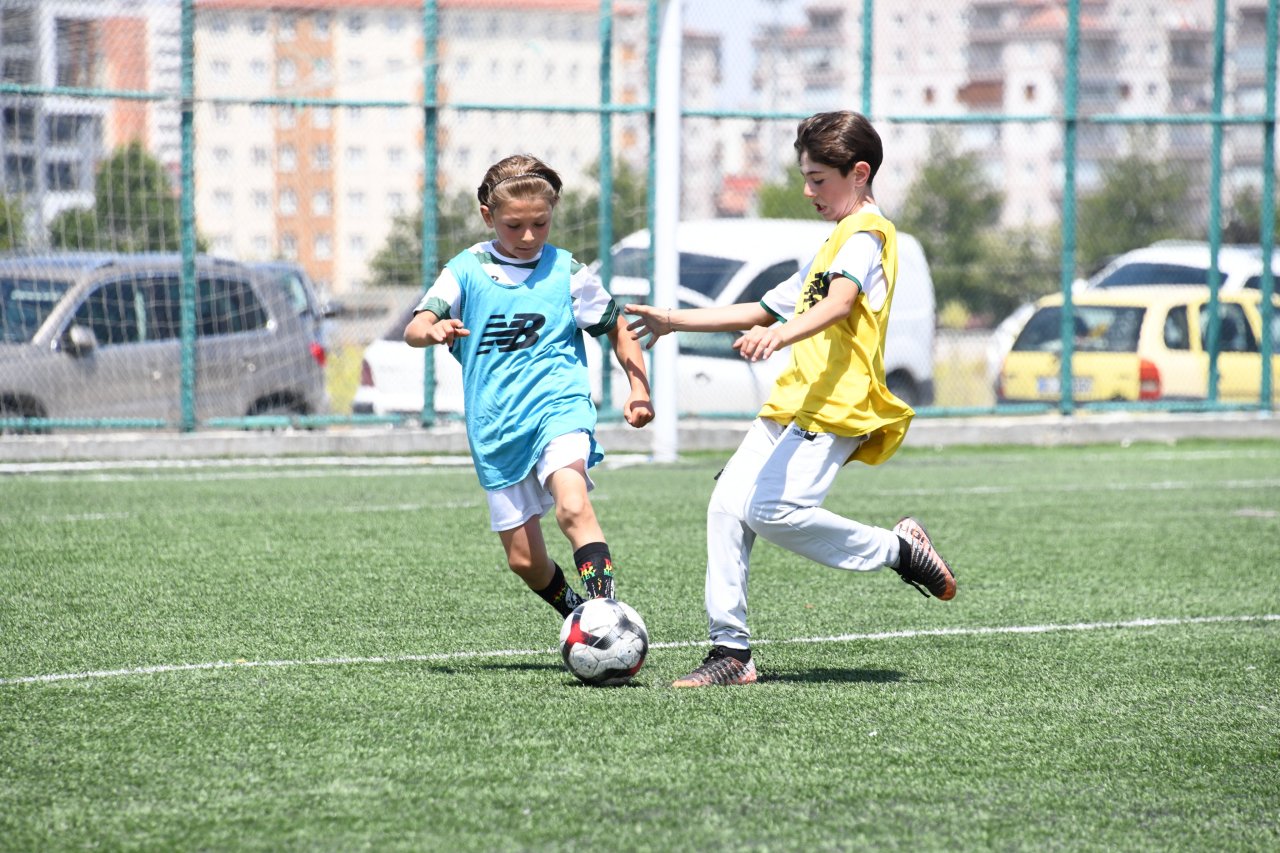 20250712-011149.jpg