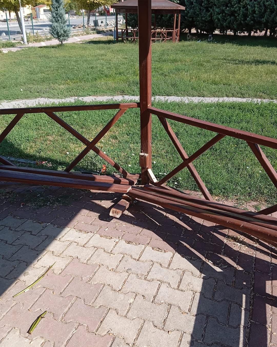 img-4695.jpeg