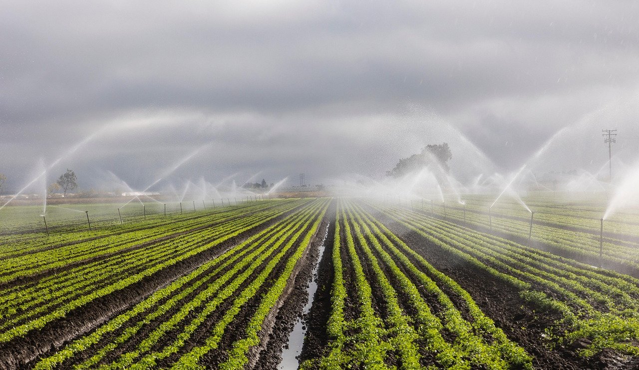 irrigation-7262563-1280.jpg