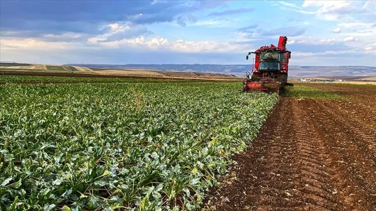 Milyonlarca çiftçiye Bakan müjdeyi verdi 4