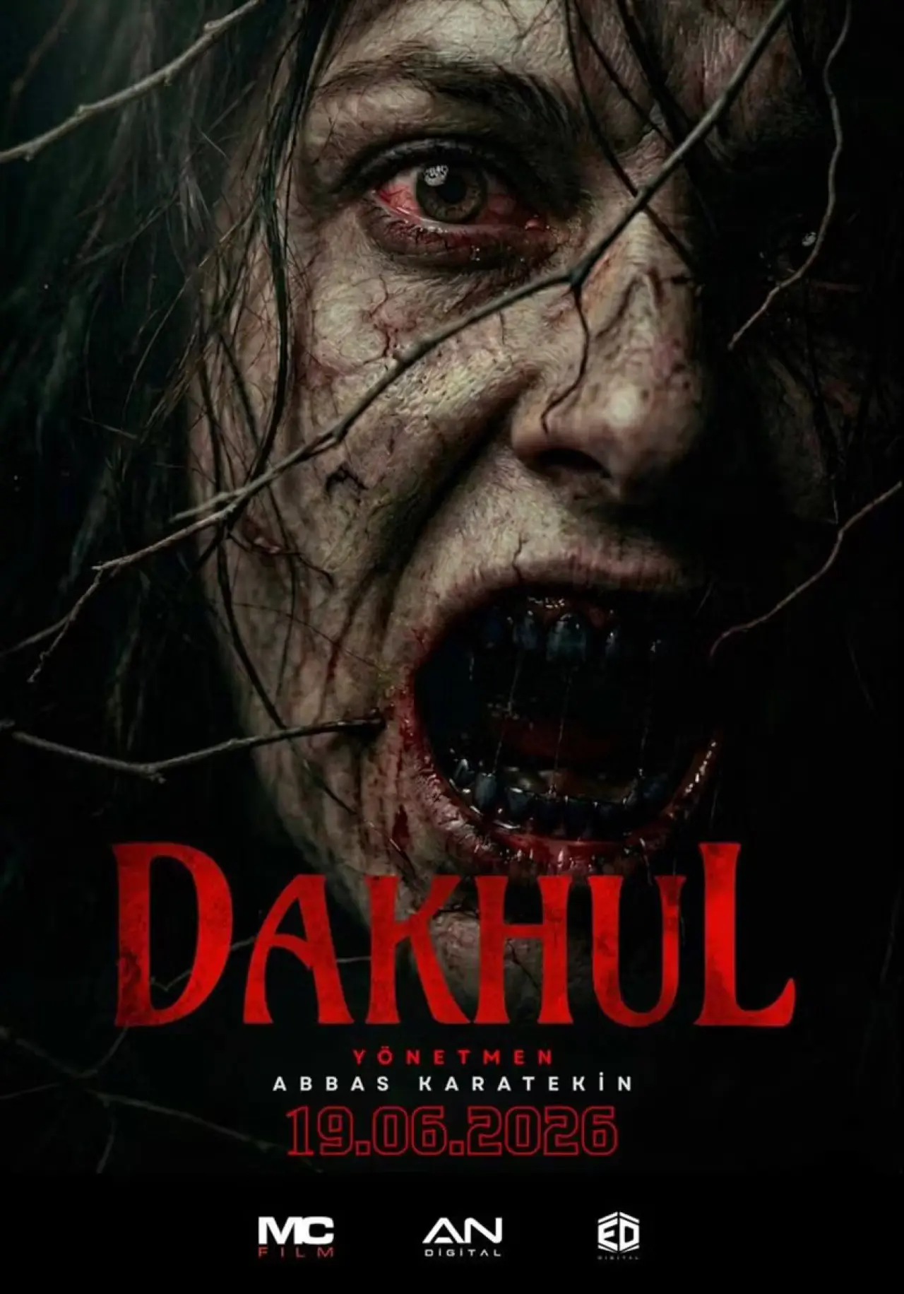 Konya’da bu Cuma vizyona girecek filmler belli oldu! 7