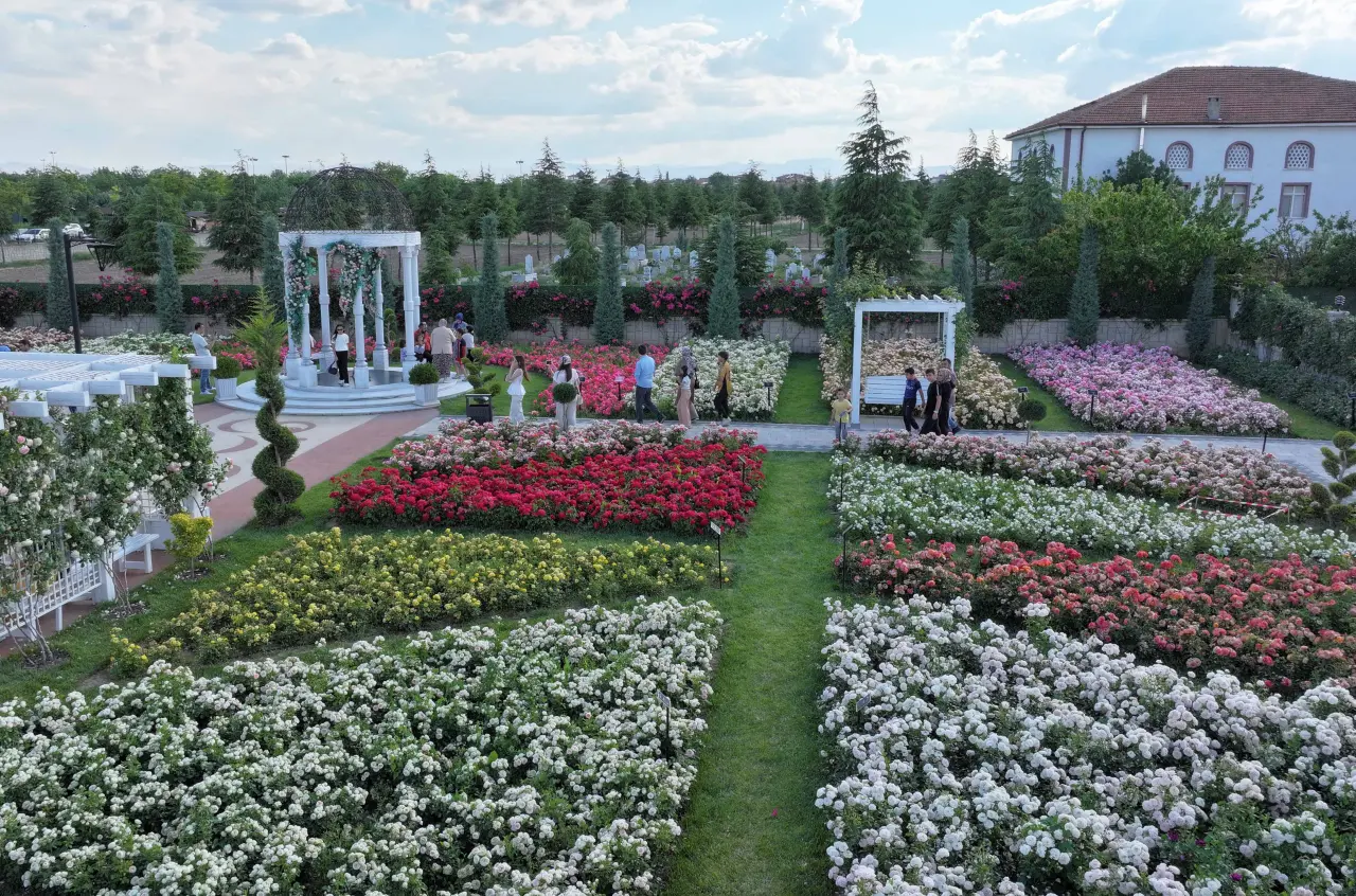Konya’daki bu park görenleri hayran bırakıyor! 50 bin gül aynı yerde 5