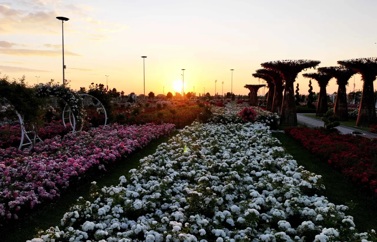 Konya’daki bu park görenleri hayran bırakıyor! 50 bin gül aynı yerde 8