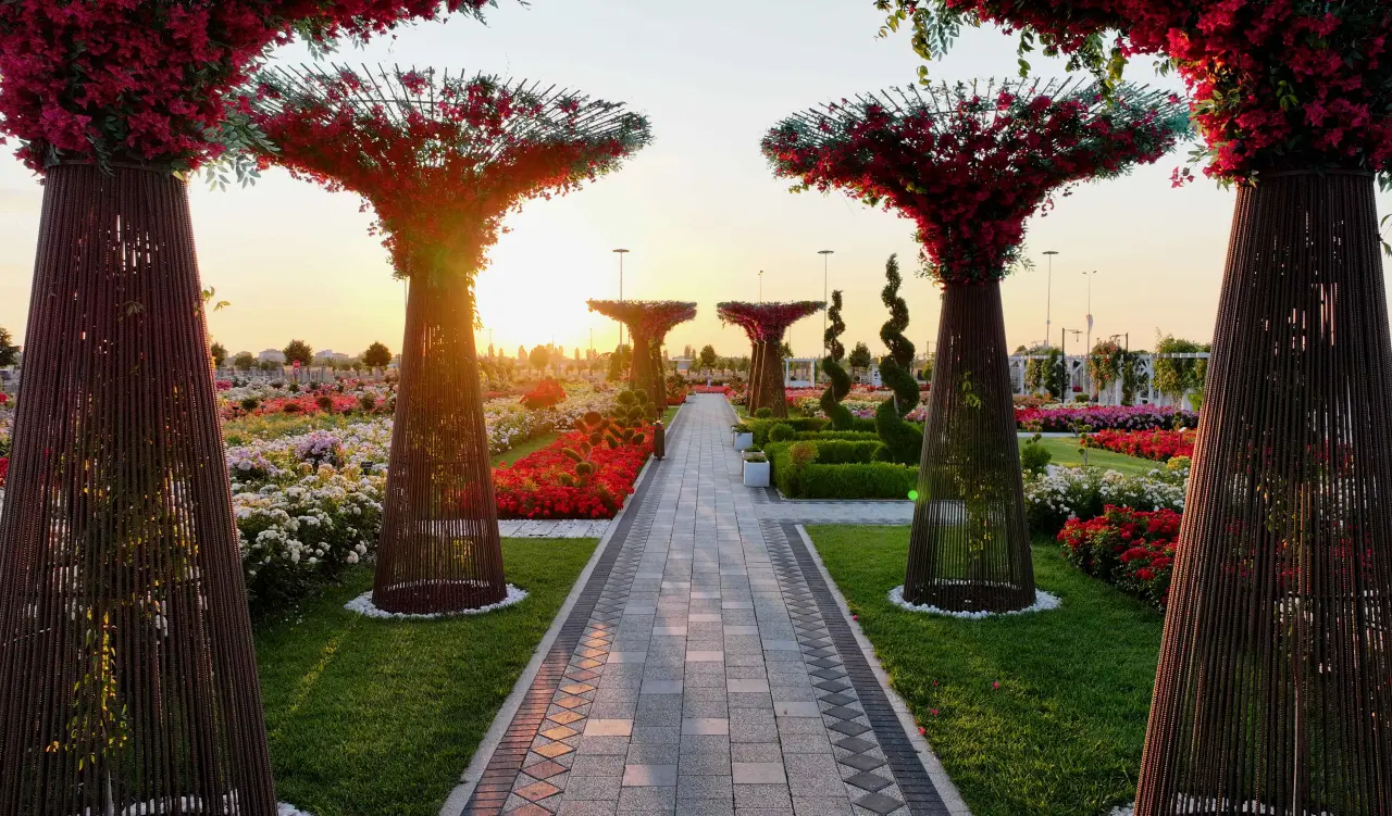 Konya’daki bu park görenleri hayran bırakıyor! 50 bin gül aynı yerde 2