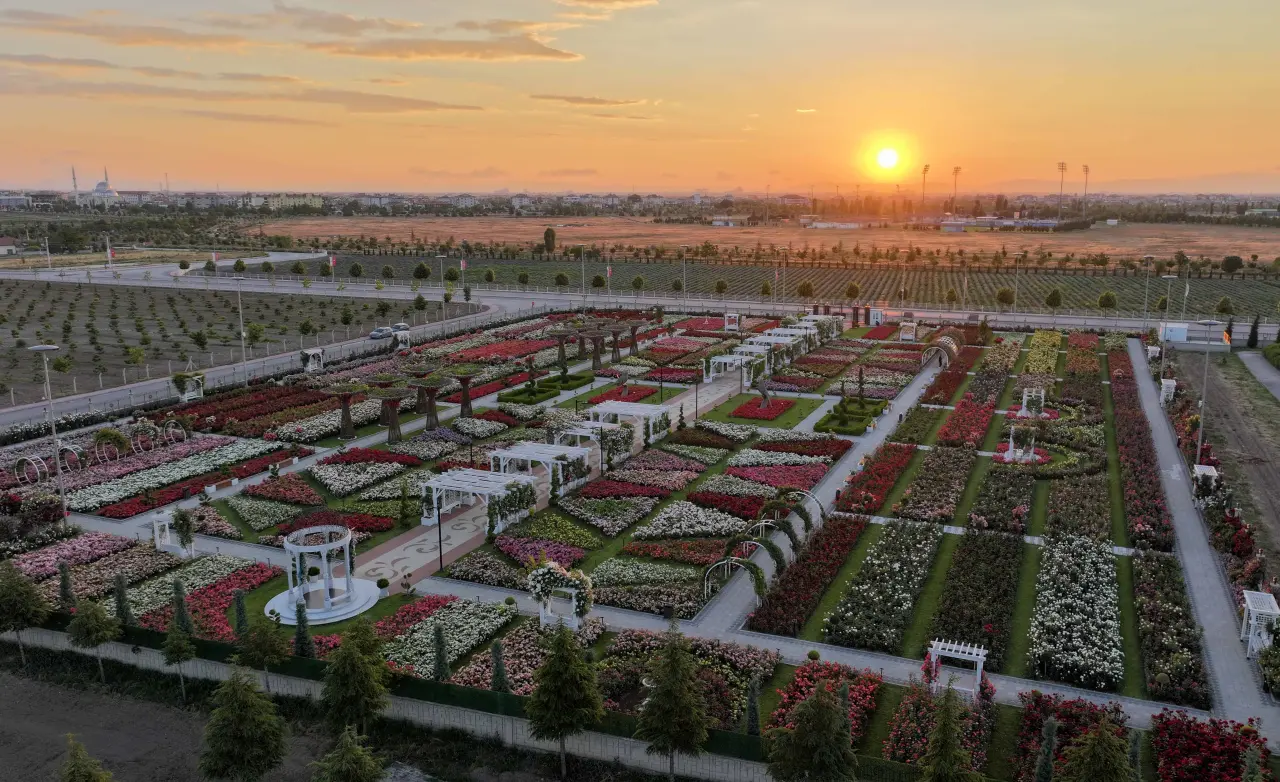 Konya’daki bu park görenleri hayran bırakıyor! 50 bin gül aynı yerde 7