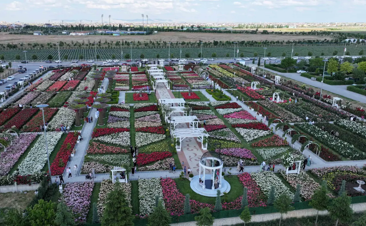 Konya’daki bu park görenleri hayran bırakıyor! 50 bin gül aynı yerde 3
