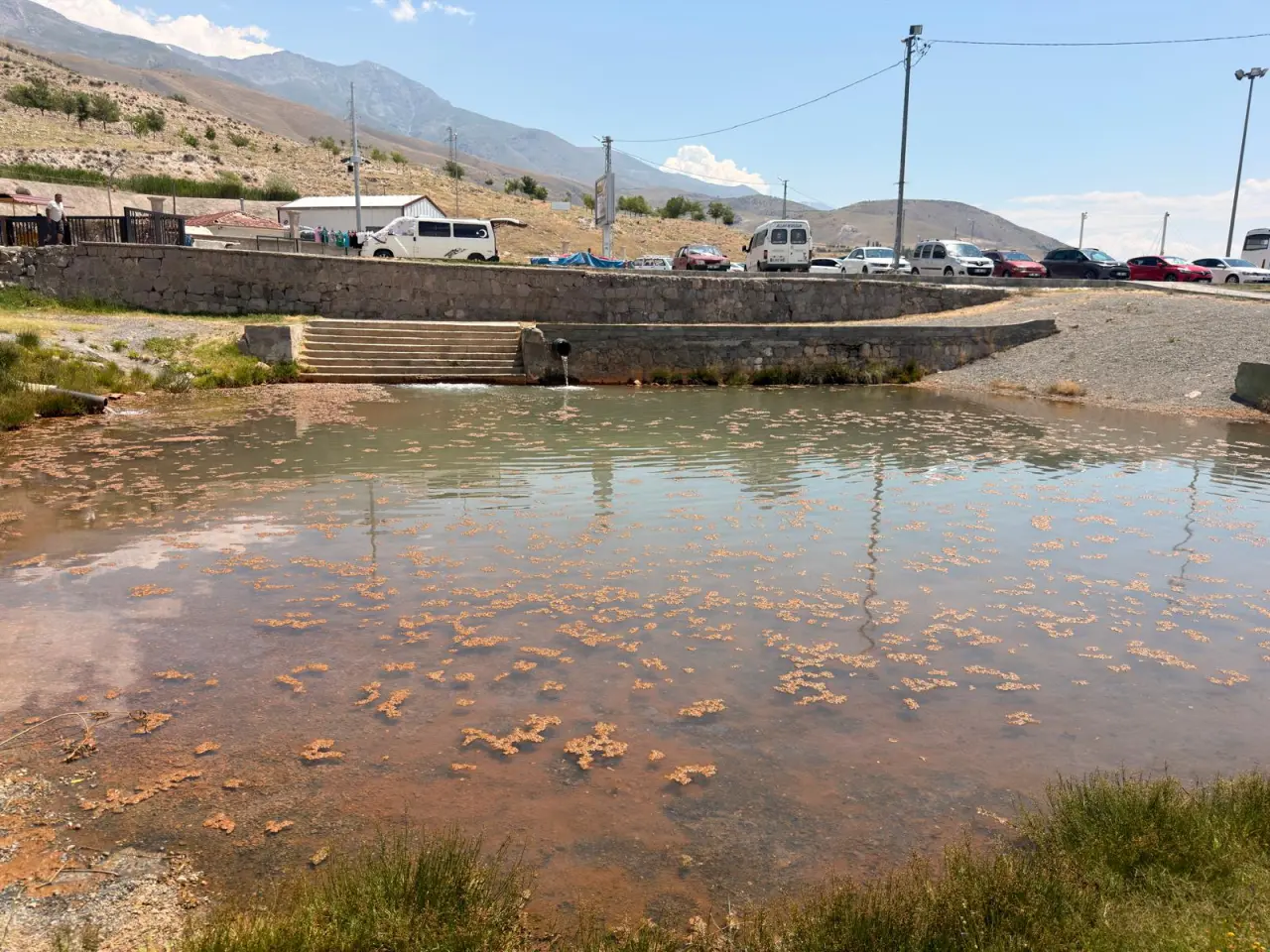 Dört mevsim keşfedilecek şehir! Erzincan'ın eşsiz güzellikleri tanıtıldı 3